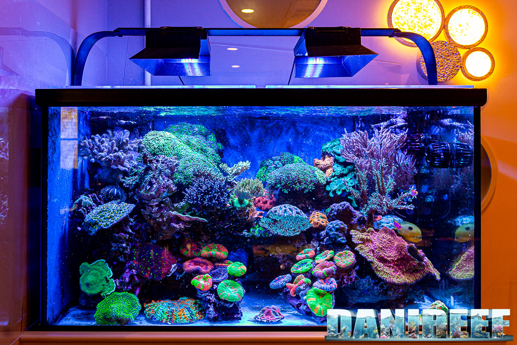 Reef Aquarium LED Light Galleria di foto • Orphek