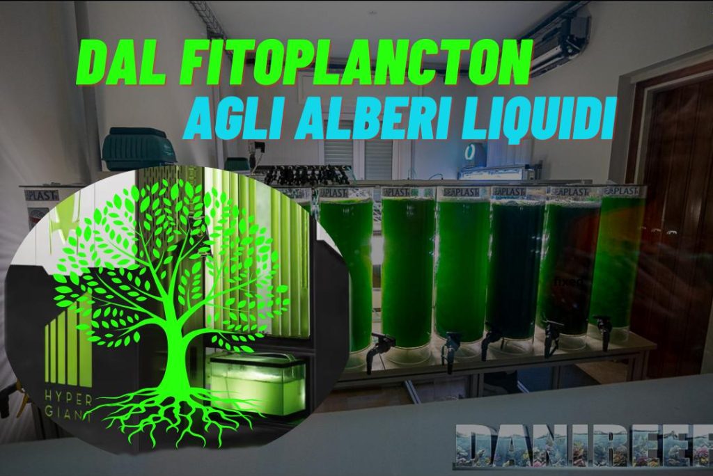 Dal fitoplancton agli alberi liquidi per combattere l'inquinamento