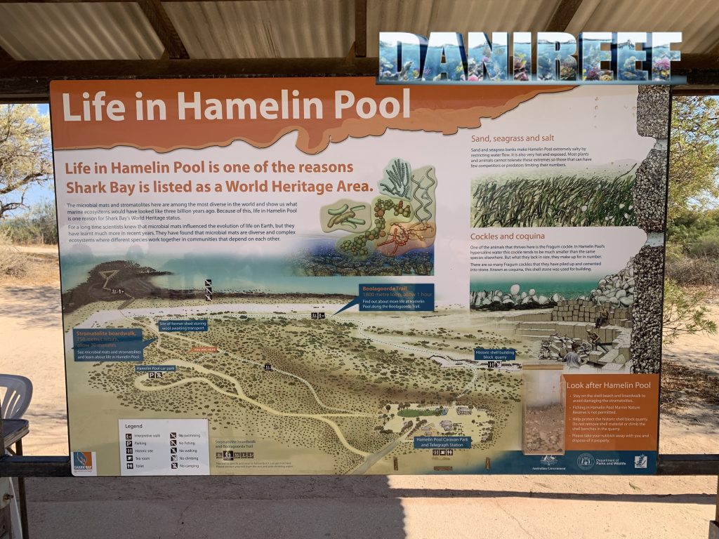 Pannello descrittivo della vita in Hamelin Pool
