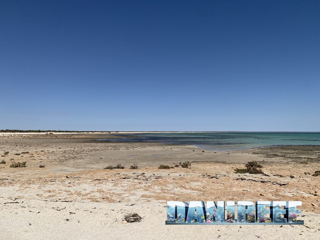 Bassa marea nelle Stromatoliti di Hamelin Pool