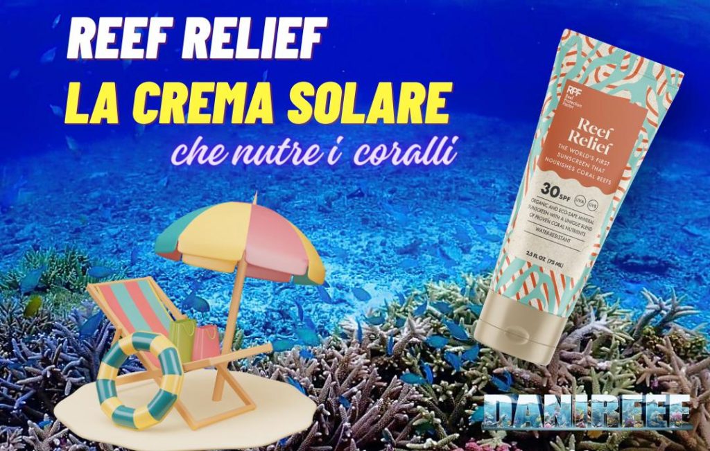 Reeffrelief 