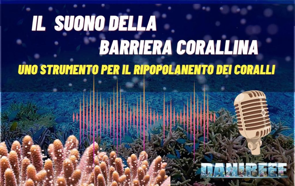 La ricerca ha rivelato che i suoni delle barriere coralline sane possono giocare un ruolo cruciale nel ripopolamento dei coralli in barriere degradate. *Coral settlement* e *acustica marina* sono strumenti potenti per ripristinare questi ecosistemi vitali.