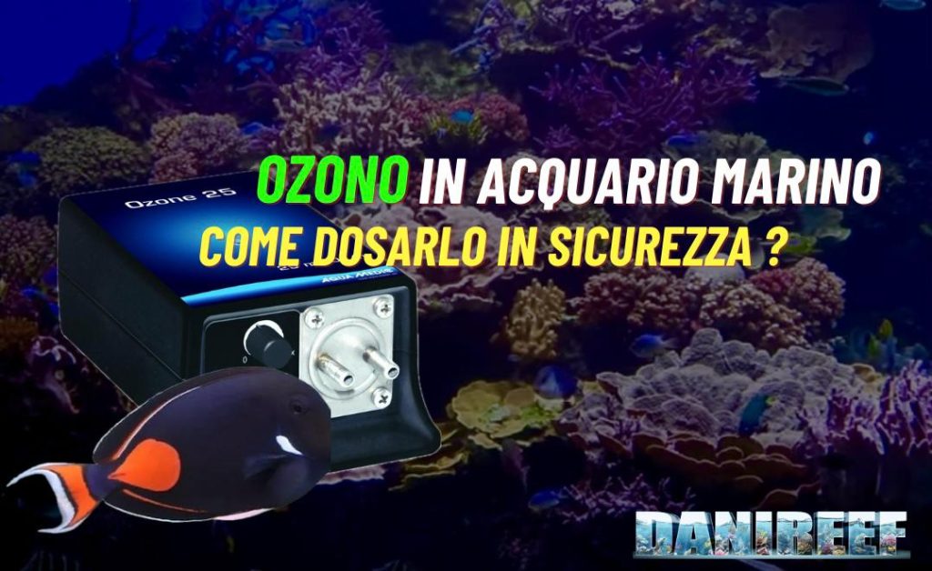 Ozono in acquario marino