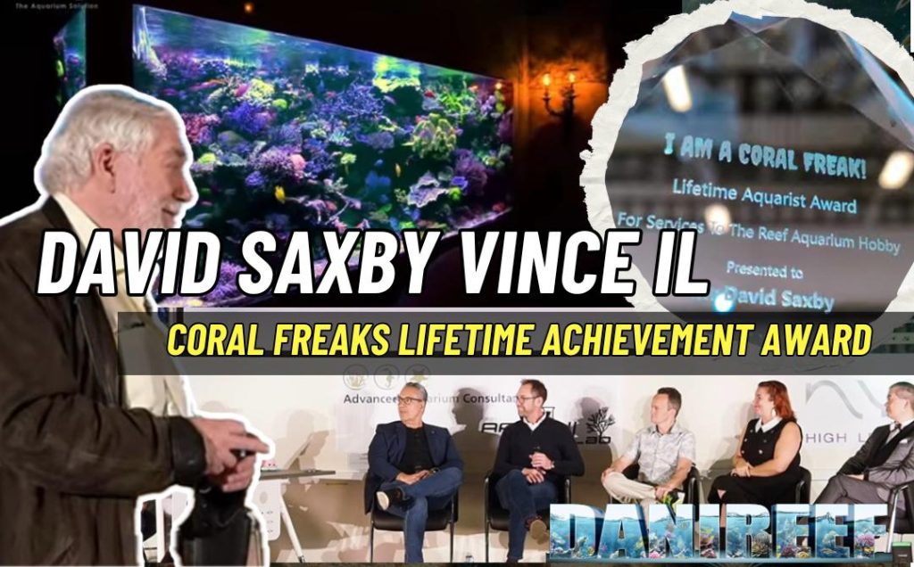 David Saxby, una vera e propria leggenda dell’acquariofilia, è stato recentemente insignito del Coral Freaks Lifetime Achievement Award