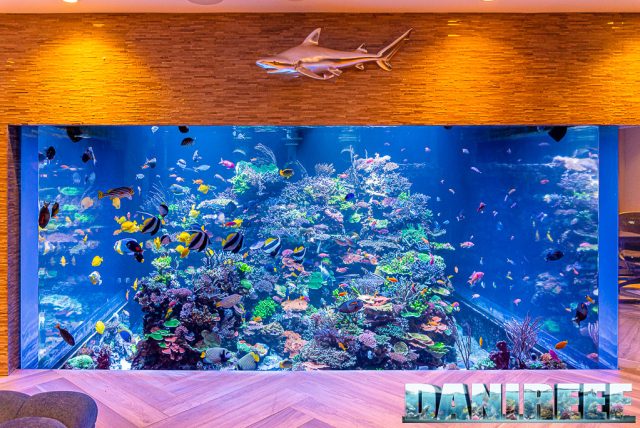 Polo Reef: we visited the world's most beautiful marine aquarium