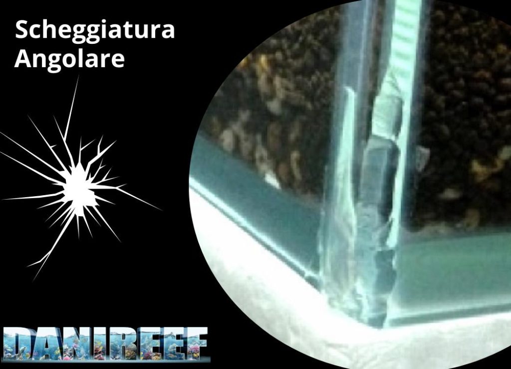 Acquario che perde per scheggiatura angolare