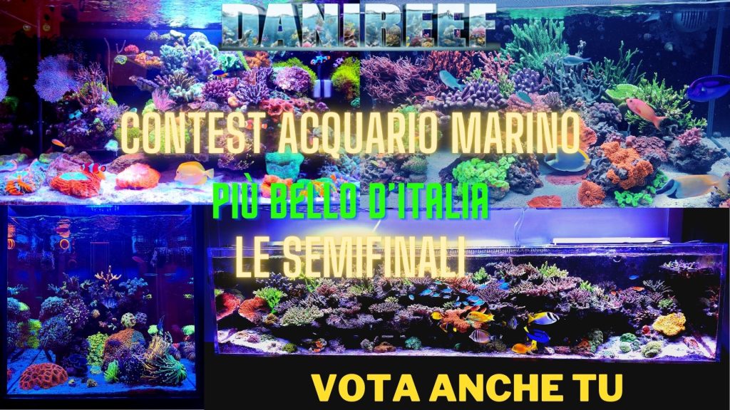 Scopri i semifinalisti del nostro contest e vota per il tuo preferito su FaceBook o Instagram! Chi passerà in finale e vincerà il titolo?