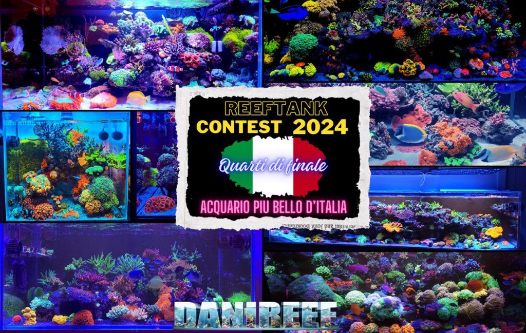 Contest Acquario Marino: in gara i magnifici 8 acquari marini rimasti