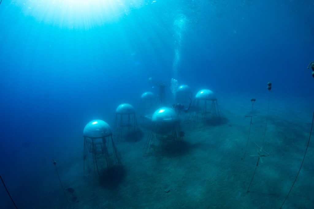 Le biosfere per la coltivazione subacquea da Nemo's Garden