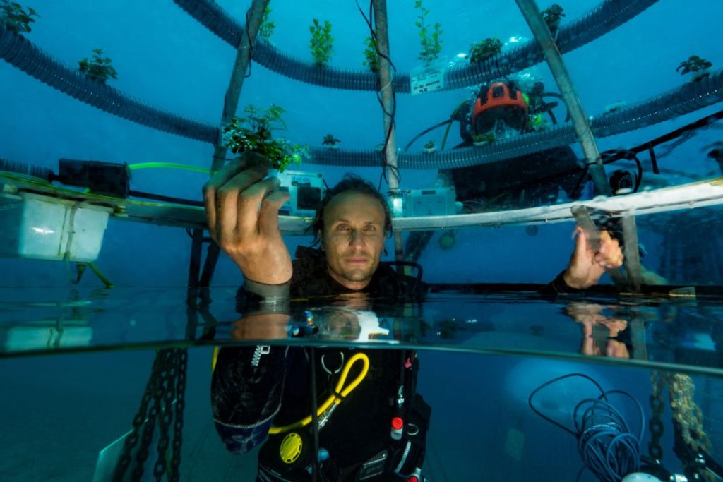 Una sfera vista da dentro attraverso il sito www.nemosgarden.com le piante occupano la parte con l'aria ma hanno le radici ammollo in acqua dolce ricavata dalla desalinizzazione dell'acqua salata per condensazione sulle pareti più fredde di plexiglass