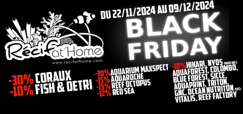 Offerte Recifathome Black Friday 2024