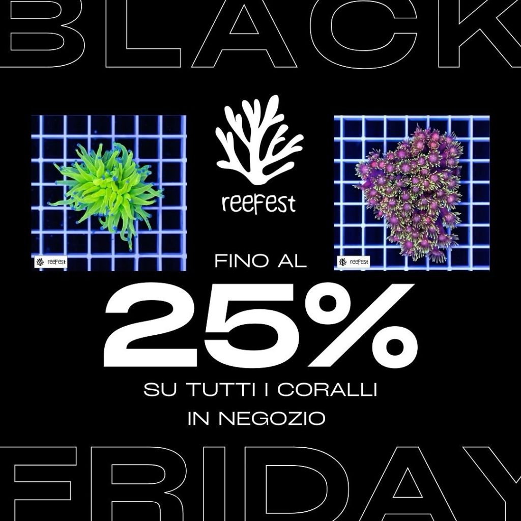 Offerte Reefest Black Friday 2024