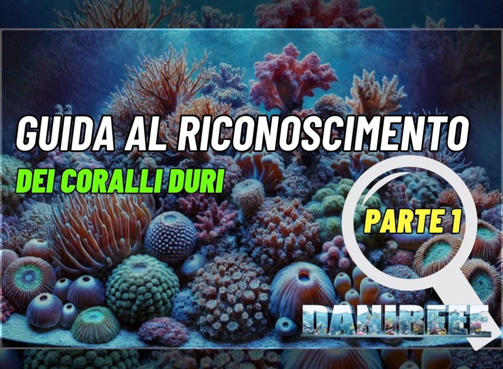 guida riconoscimento coralli
